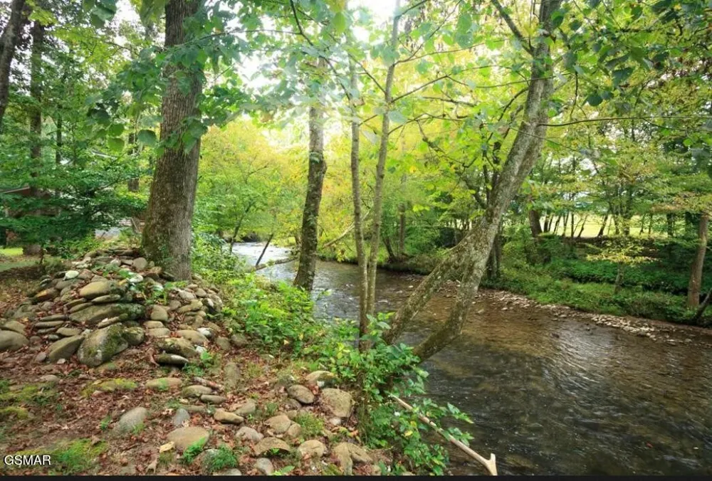 222 Limestone Way Cosby, TN 37722