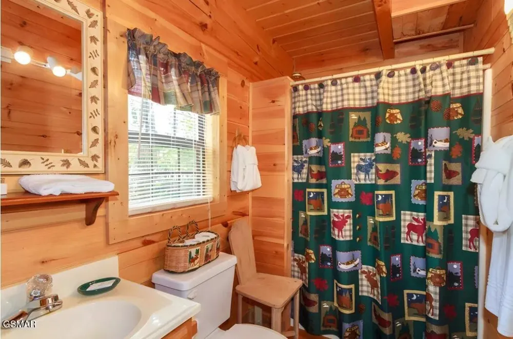 222 Limestone Way Cosby, TN 37722