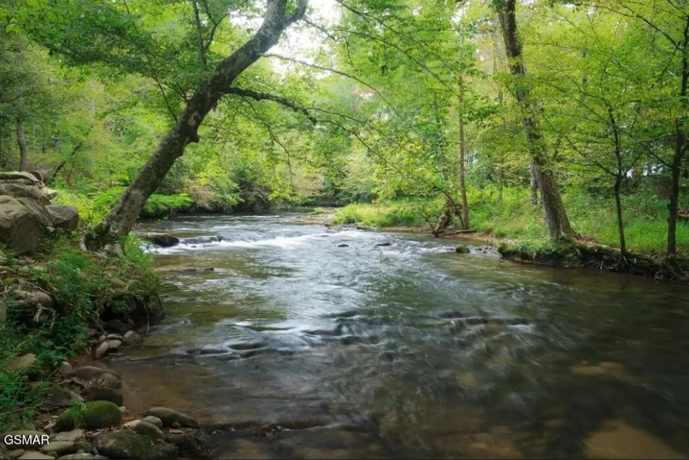 222 Limestone Way Cosby, TN 37722