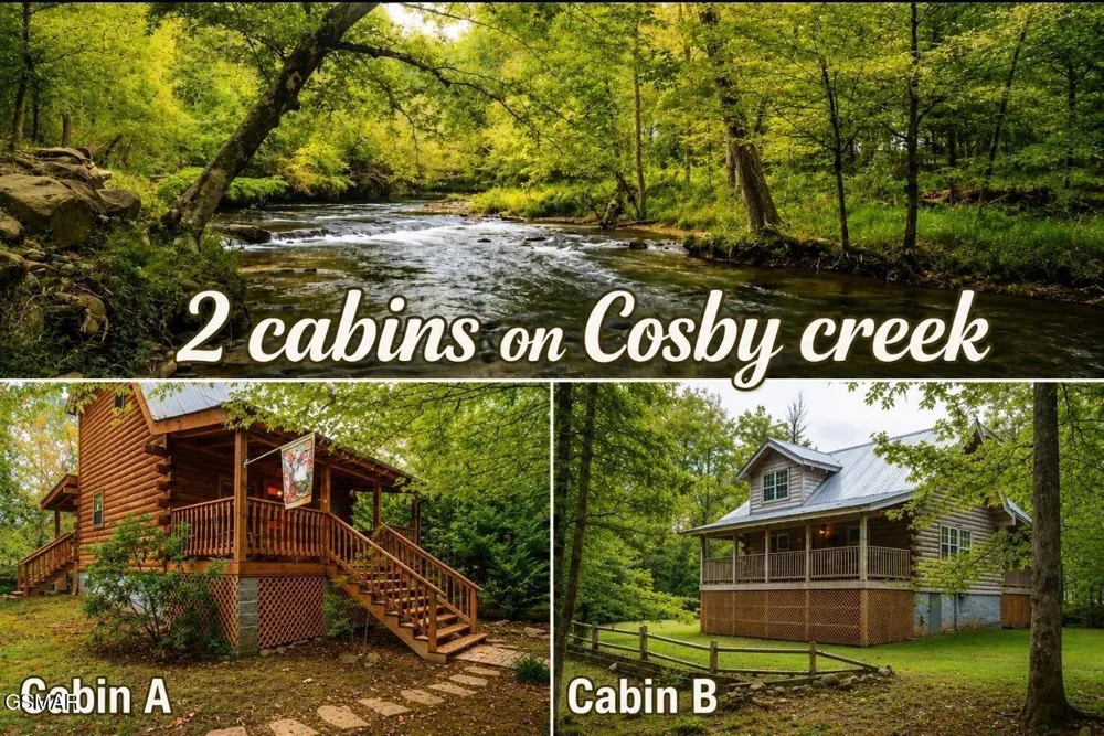 222 Limestone Way Cosby, TN 37722