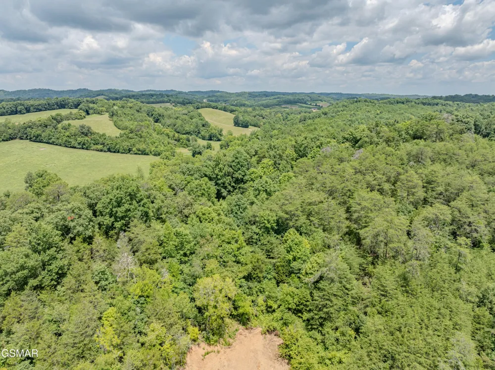 0 Fowlers Grove Rd Newport, TN 37821
