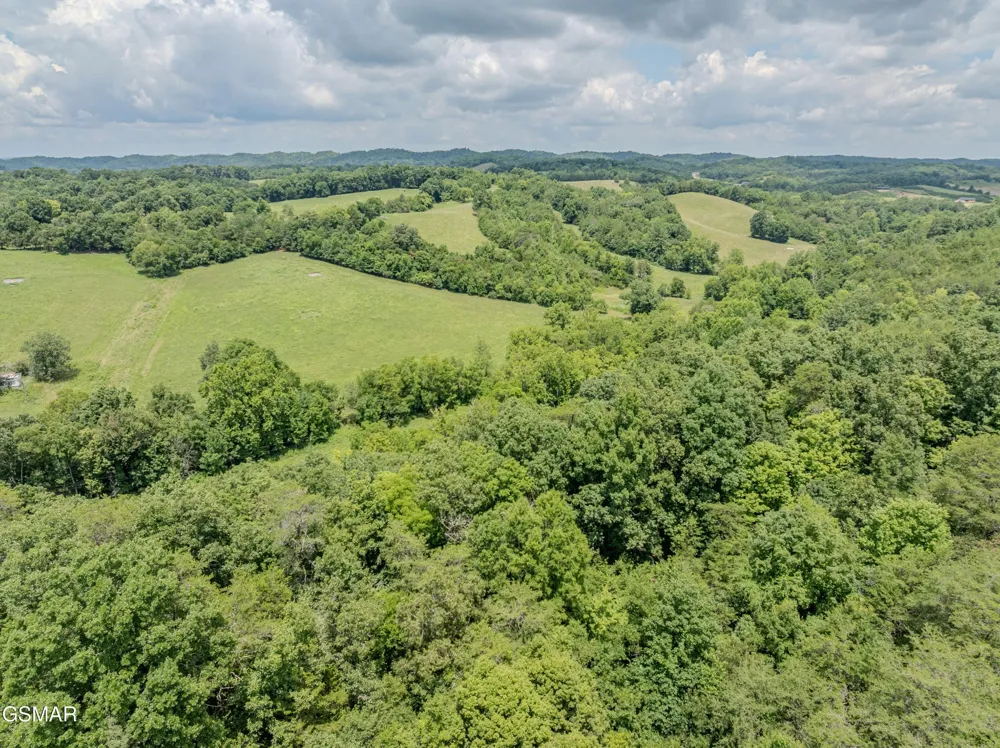 0 Fowlers Grove Rd Newport, TN 37821