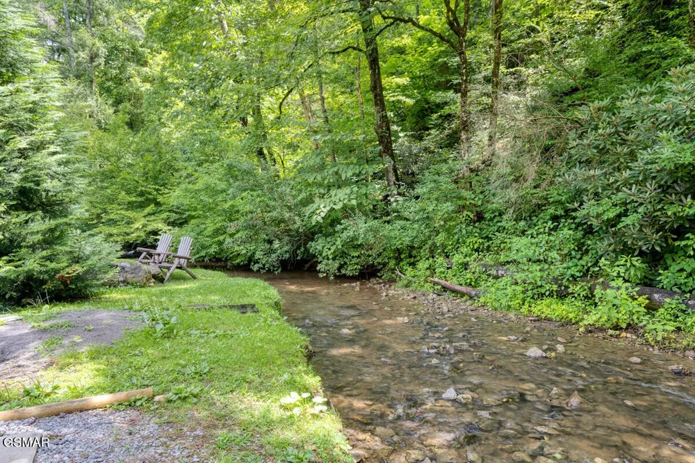 307 Caney Creek Road Pigeon Forge, TN 37863