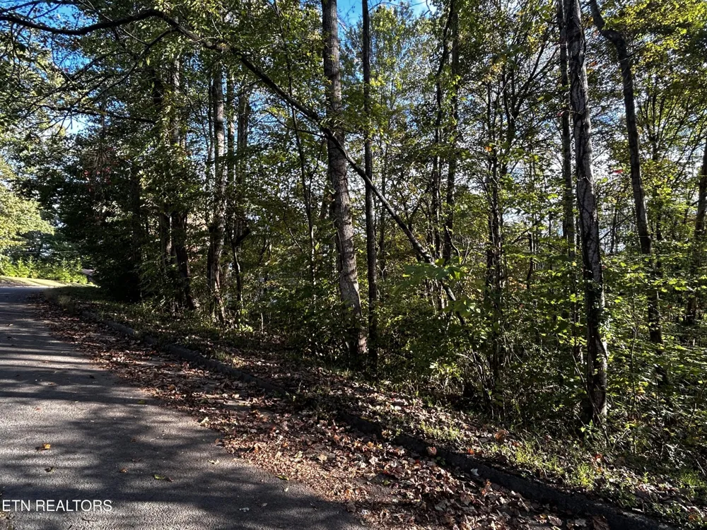 18 Revere Ave Clinton, TN 37716