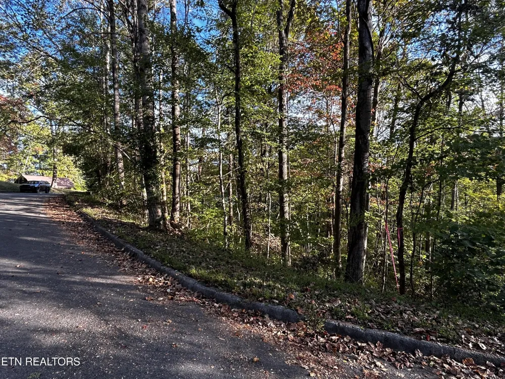 18 Revere Ave Clinton, TN 37716