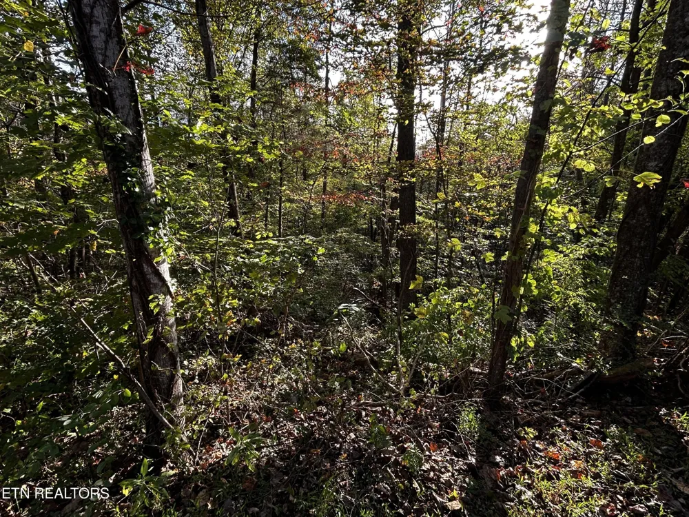 18 Revere Ave Clinton, TN 37716