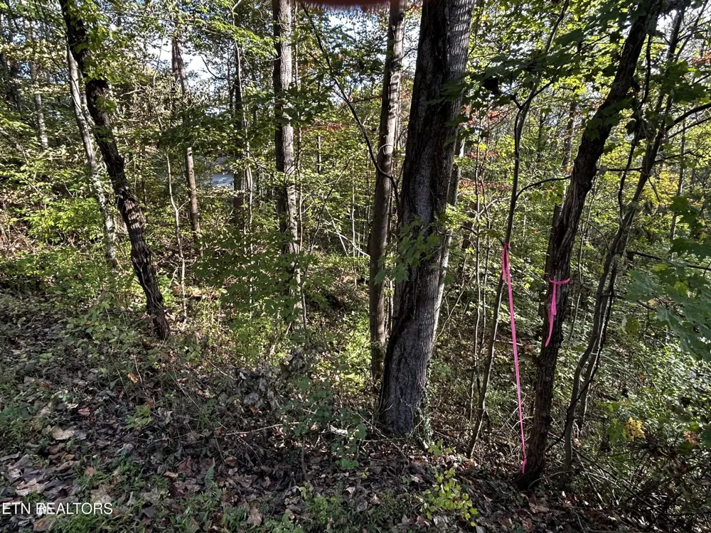 18 Revere Ave Clinton, TN 37716
