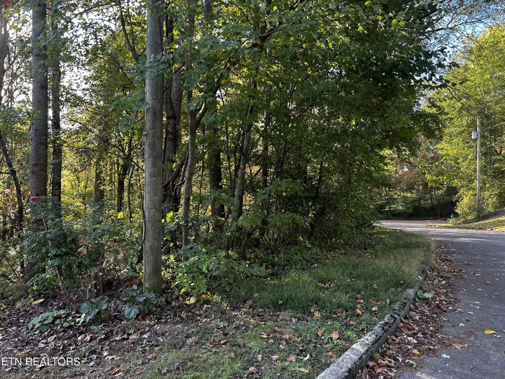 18 Revere Ave Clinton, TN 37716