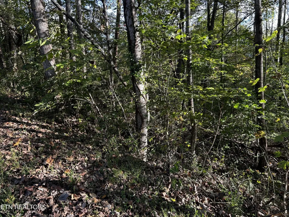18 Revere Ave Clinton, TN 37716