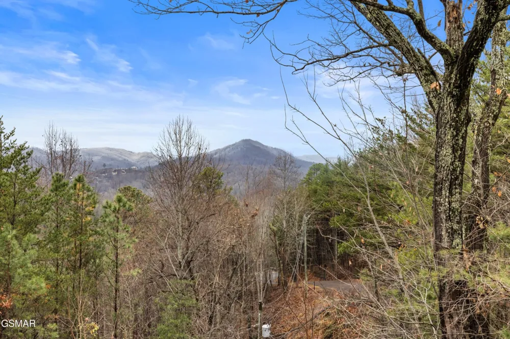 550 Sassafras Trail Pigeon Forge, TN 37876