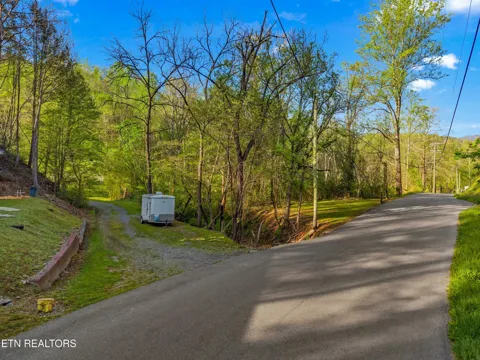 264 Beech Branch Rd