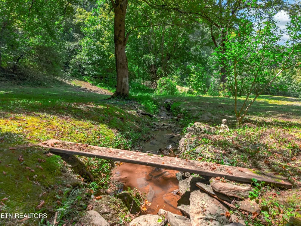 264 Beech Branch Rd Gatlinburg, TN 37738