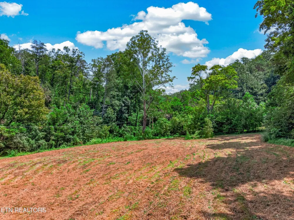 264 Beech Branch Rd Gatlinburg, TN 37738