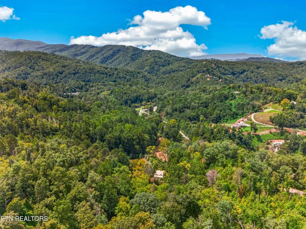 264 Beech Branch Rd Gatlinburg, TN 37738