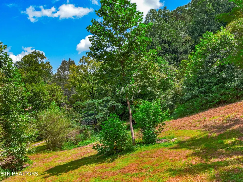 264 Beech Branch Rd Gatlinburg, TN 37738