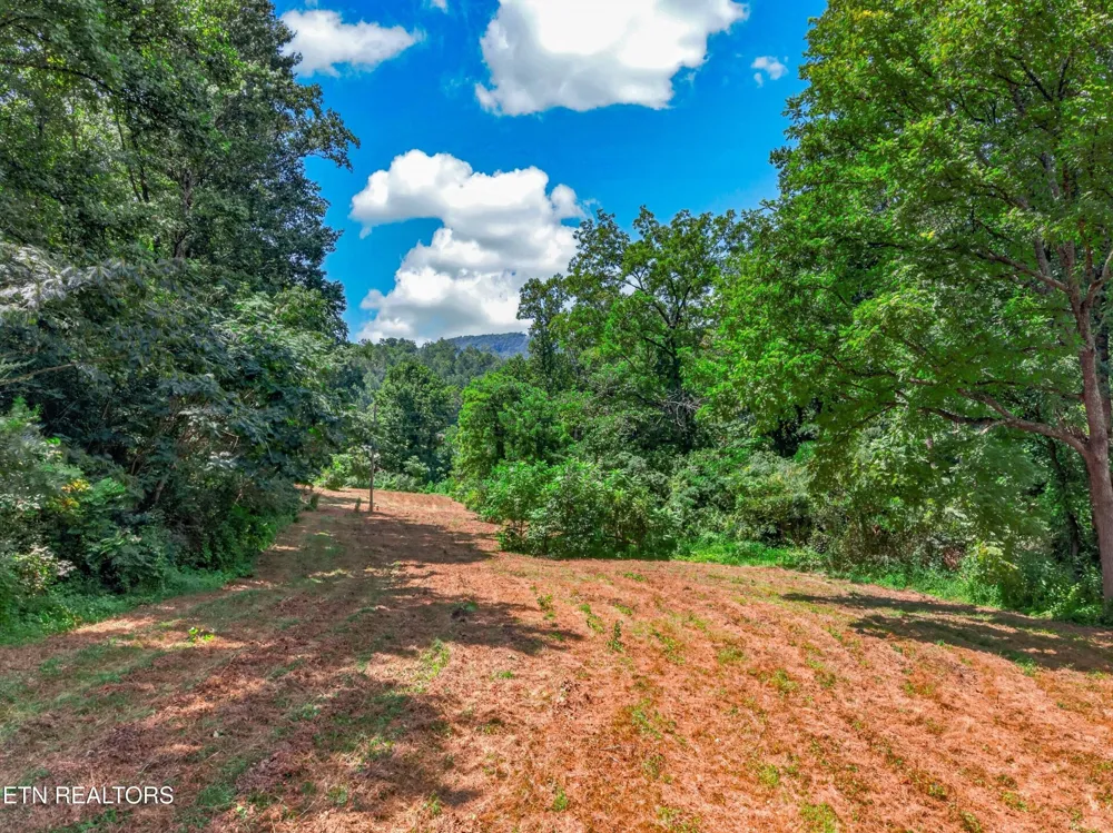 264 Beech Branch Rd Gatlinburg, TN 37738