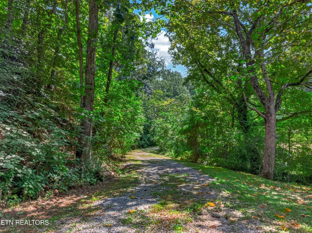 264 Beech Branch Rd Gatlinburg, TN 37738