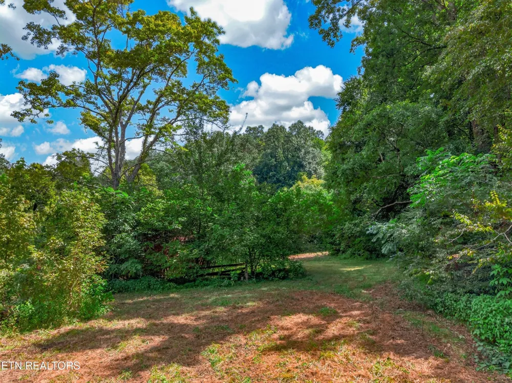 264 Beech Branch Rd Gatlinburg, TN 37738