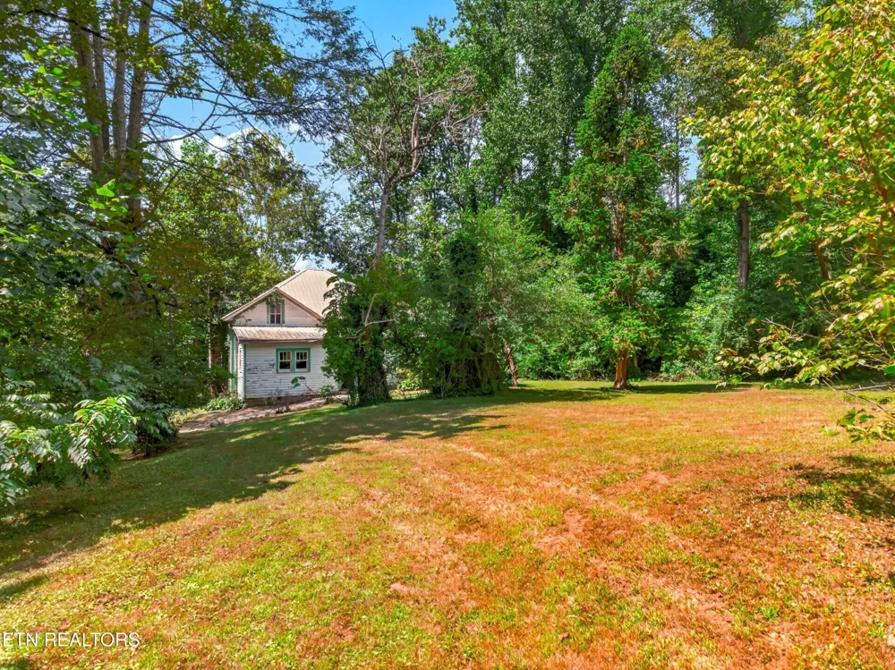 264 Beech Branch Rd Gatlinburg, TN 37738