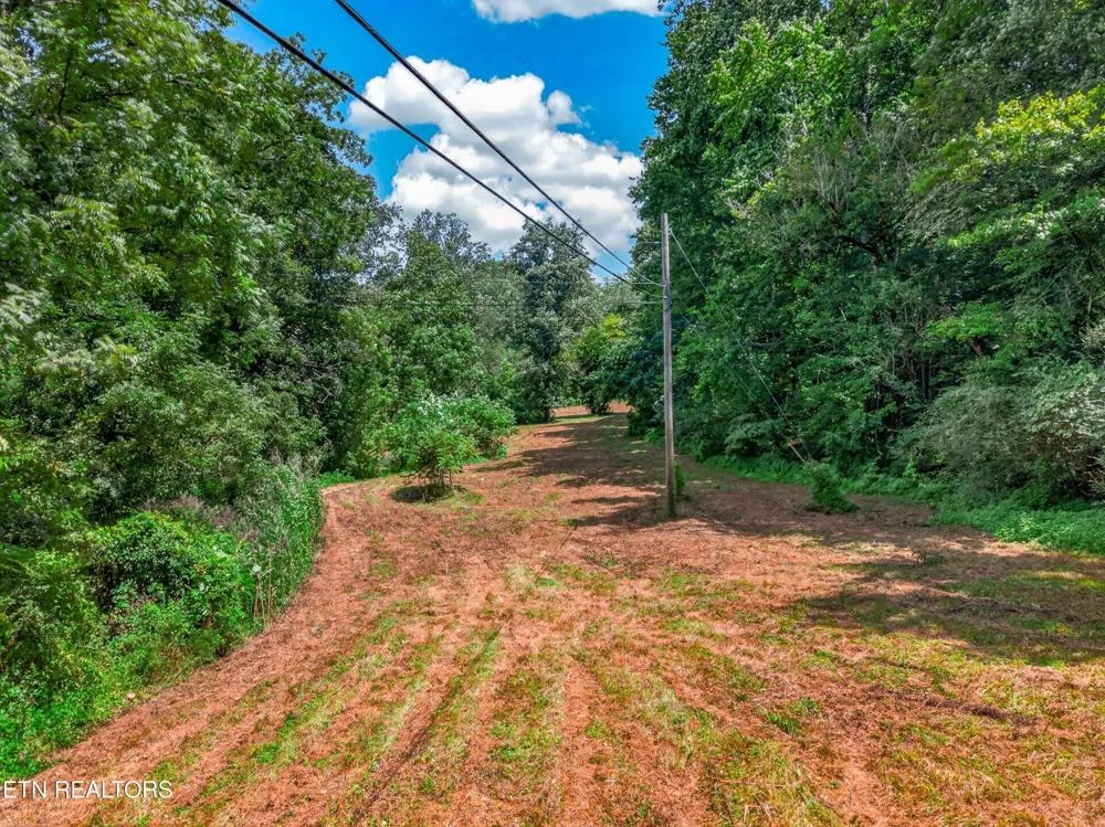 264 Beech Branch Rd Gatlinburg, TN 37738