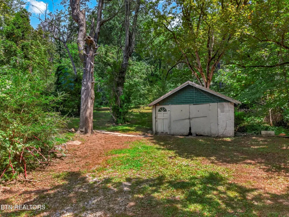 264 Beech Branch Rd Gatlinburg, TN 37738