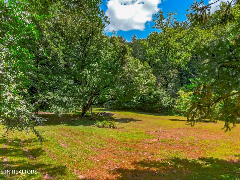 264 Beech Branch Rd Gatlinburg, TN 37738