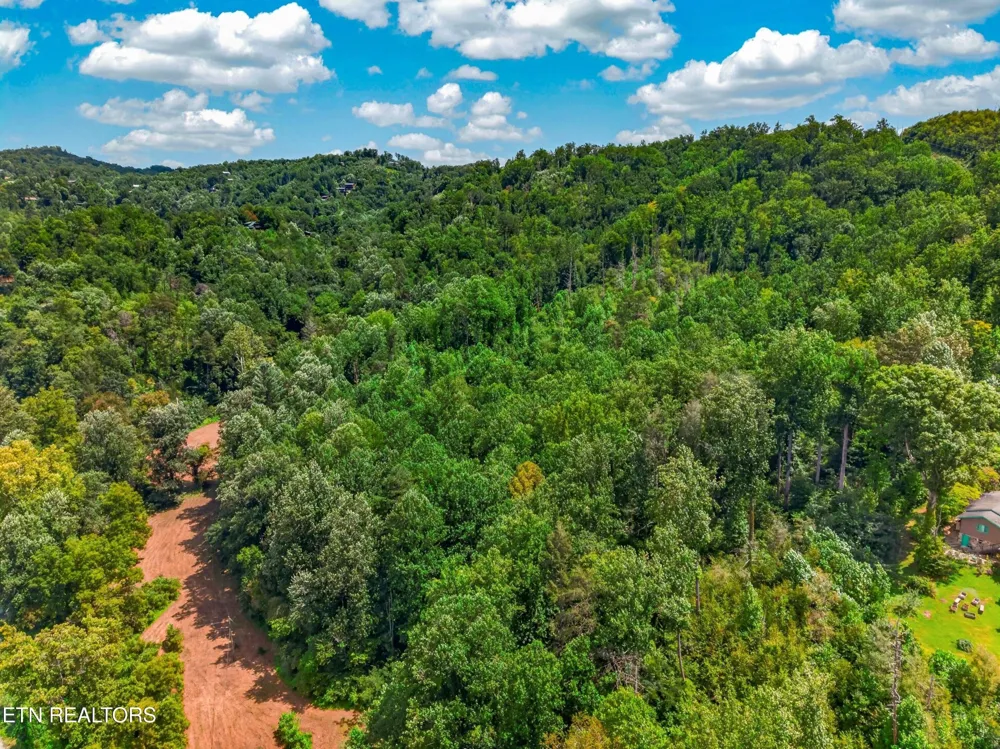 264 Beech Branch Rd Gatlinburg, TN 37738