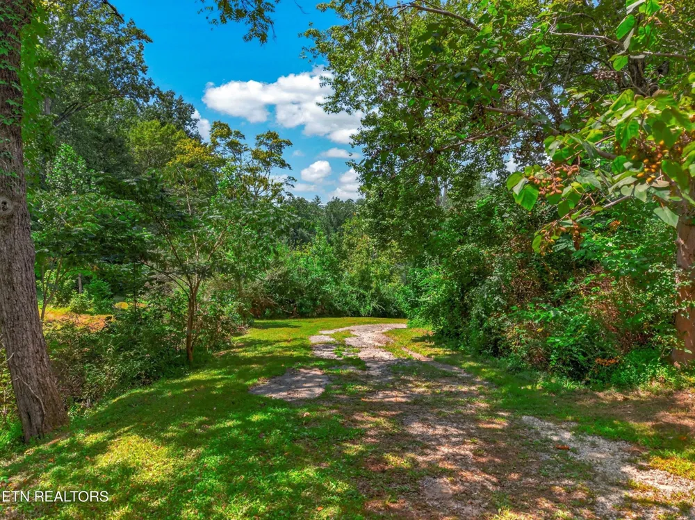 264 Beech Branch Rd Gatlinburg, TN 37738