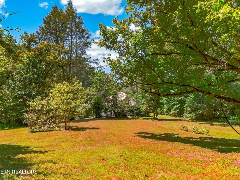 264 Beech Branch Rd Gatlinburg, TN 37738