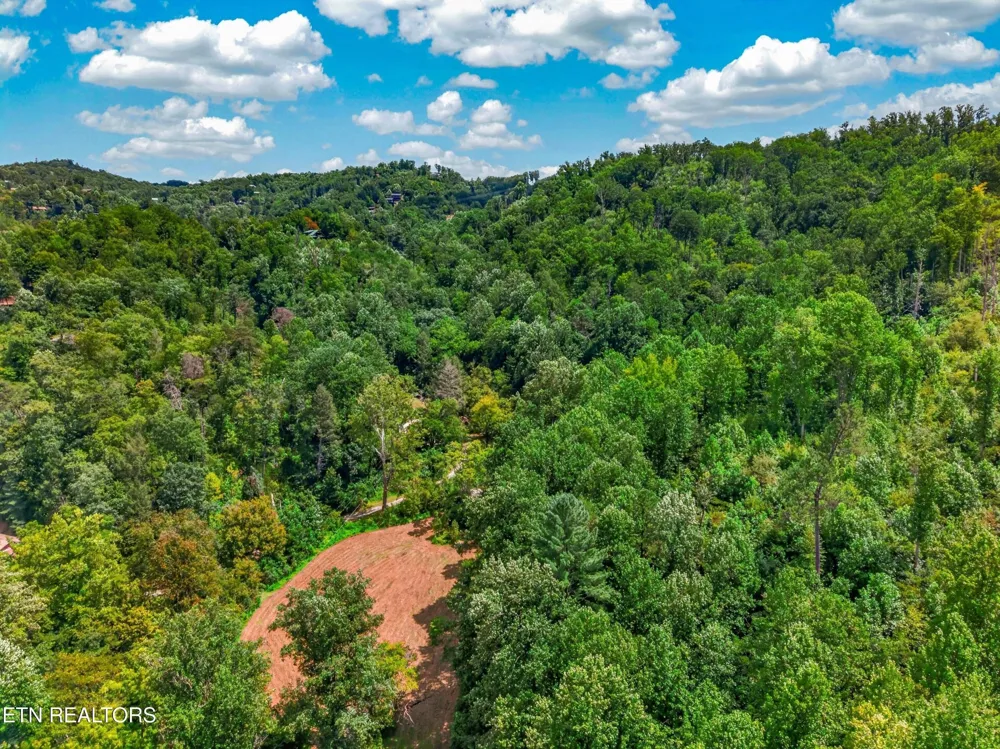 264 Beech Branch Rd Gatlinburg, TN 37738