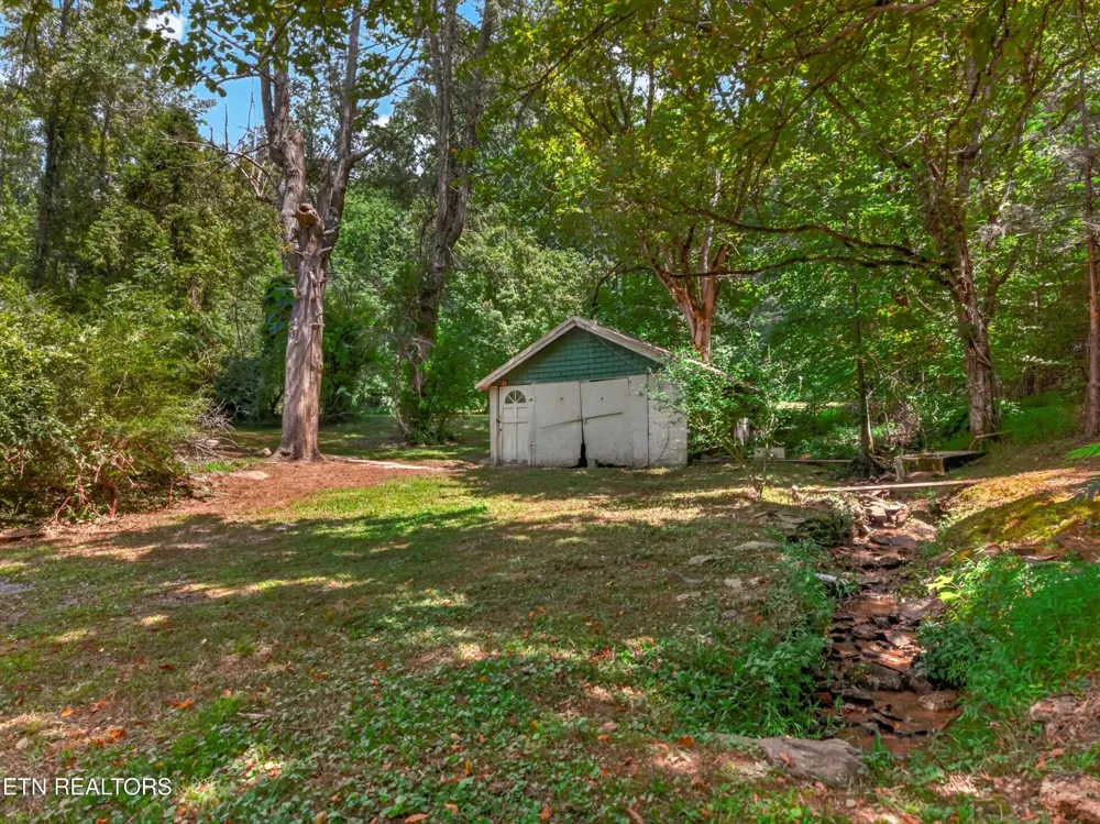 264 Beech Branch Rd Gatlinburg, TN 37738