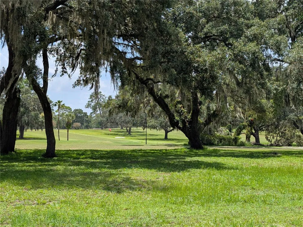 20167 SW 81ST STREET Dunnellon, FL 34431