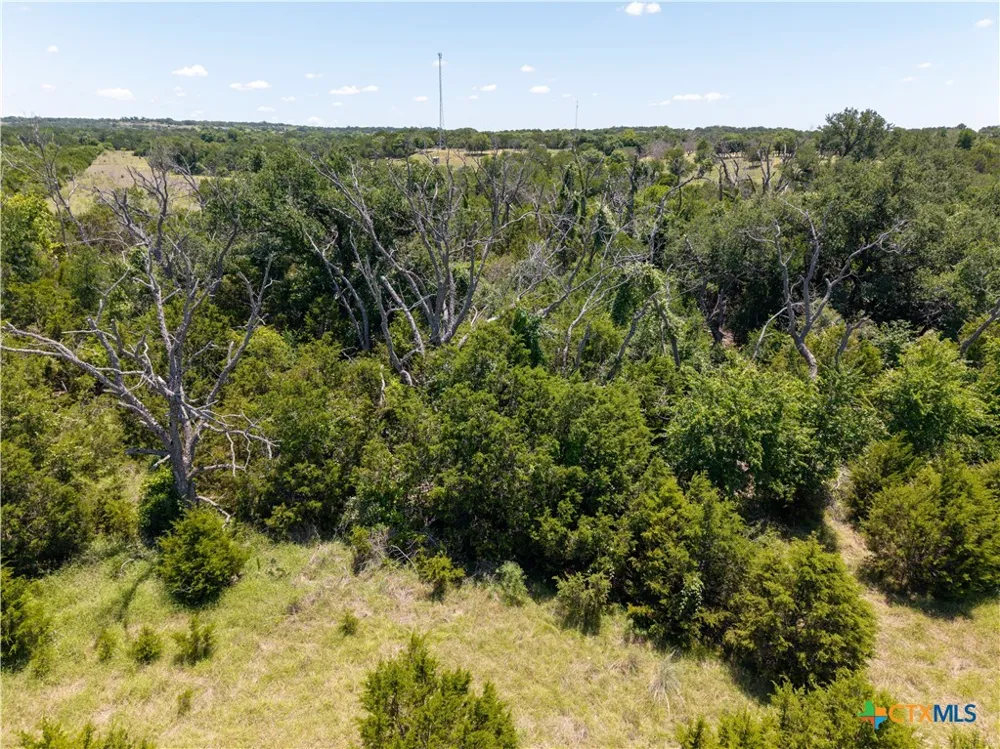 2099 FM 2313 Kempner, TX 76539