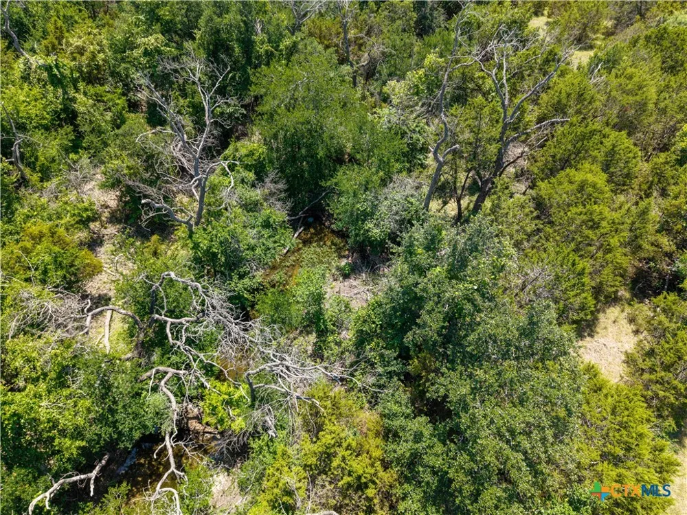 2099 FM 2313 Kempner, TX 76539