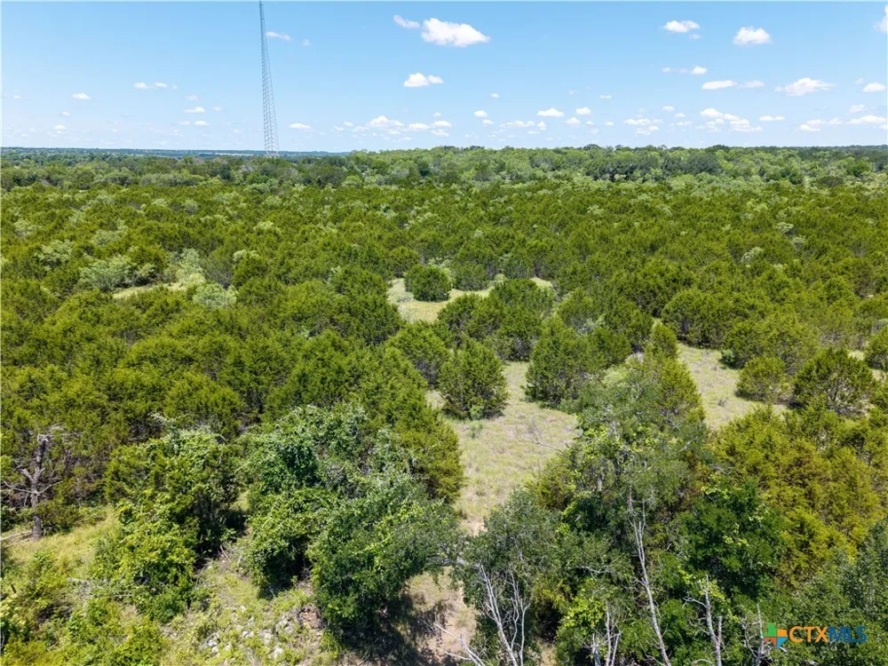2099 FM 2313 Kempner, TX 76539