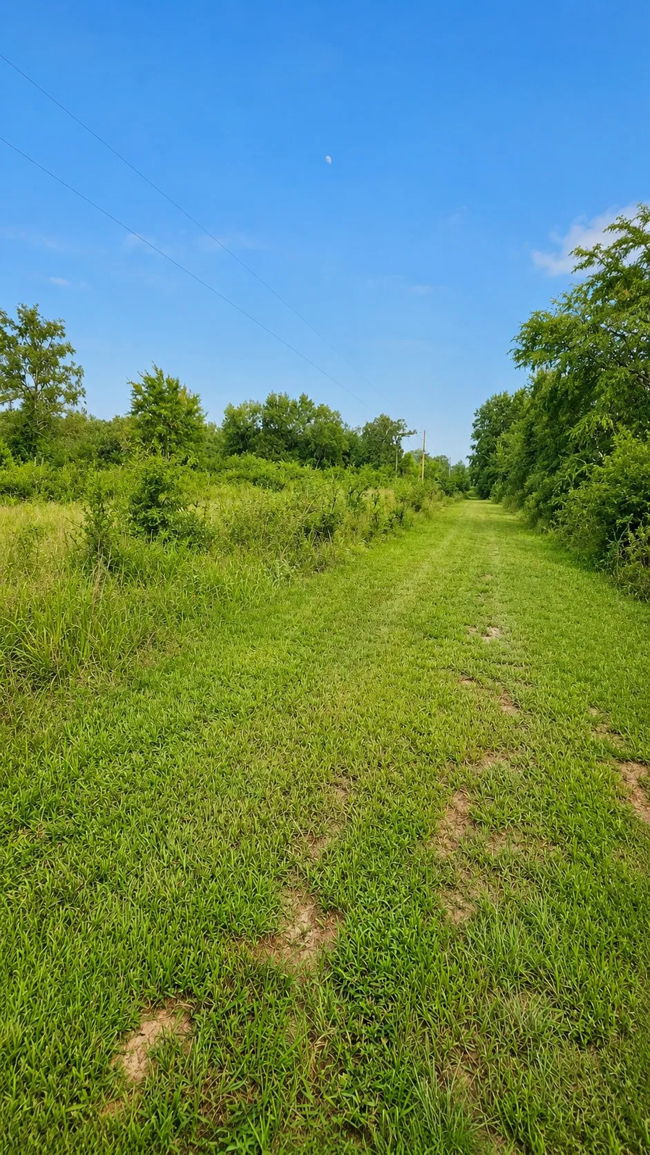 40467 S Old Hwy 9 Loop Stigler, OK 74462