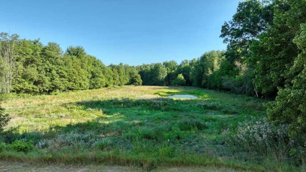 49300 Arkona Road Belleville, MI 48111