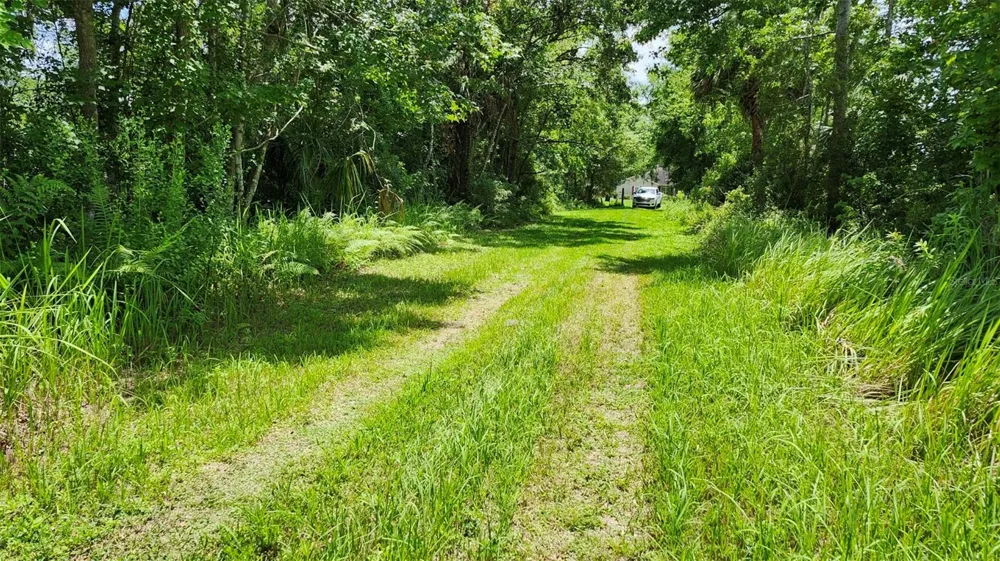 32531 4TH AVENUE San Antonio, FL 33576