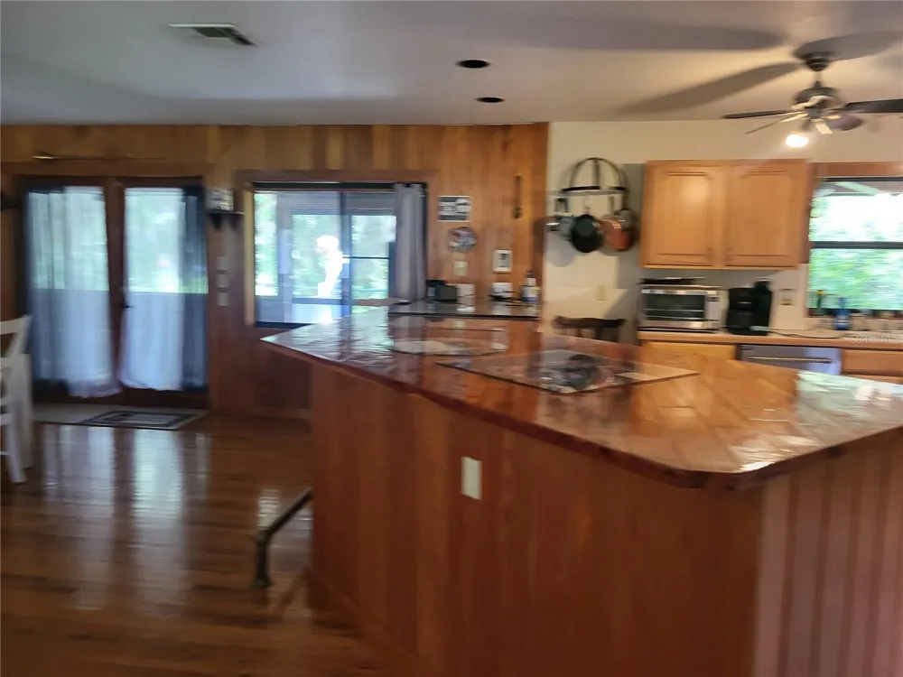 32531 4TH AVENUE San Antonio, FL 33576