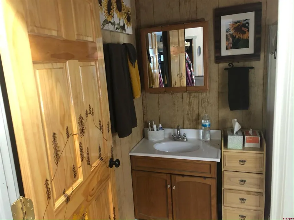 128 Marquette Trail Pitkin, CO 81241