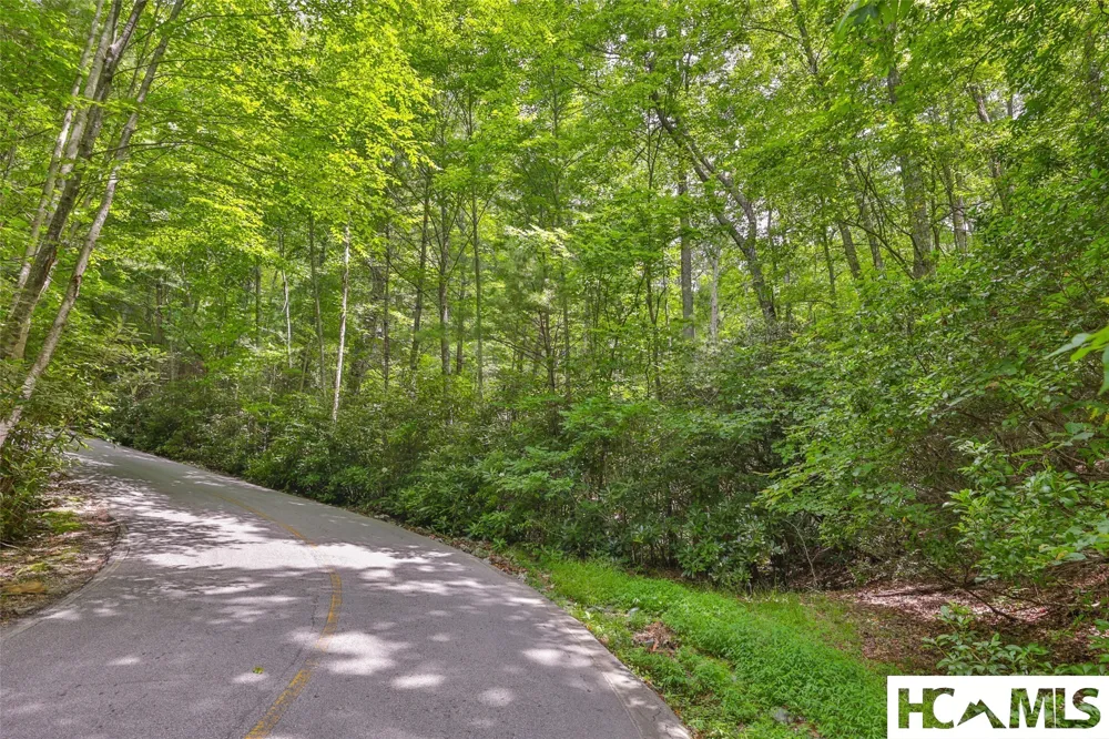 117 Buckberry Drive Sapphire, NC 28774