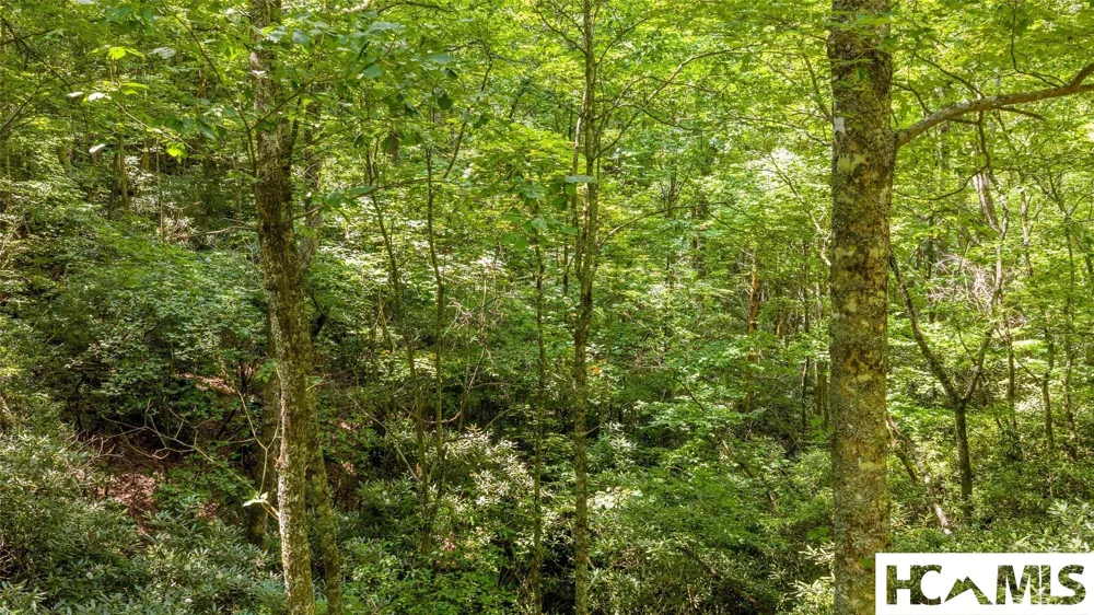 117 Buckberry Drive Sapphire, NC 28774