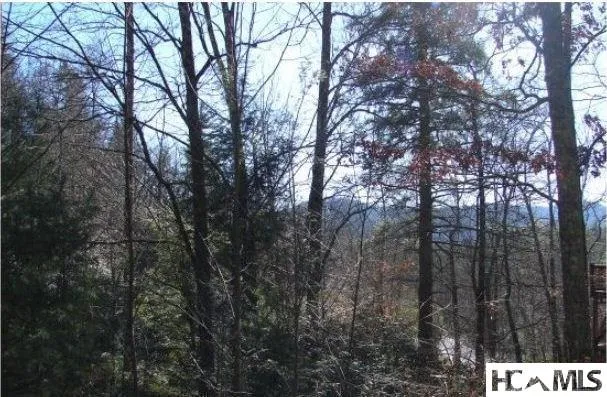 117 Buckberry Drive Sapphire, NC 28774