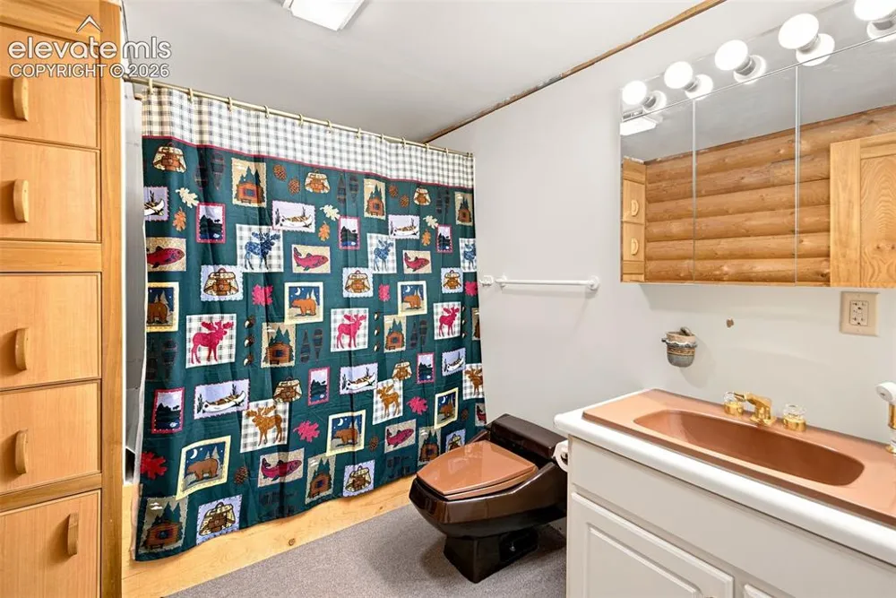 492 Trail Creek Road Lake George, CO 80827