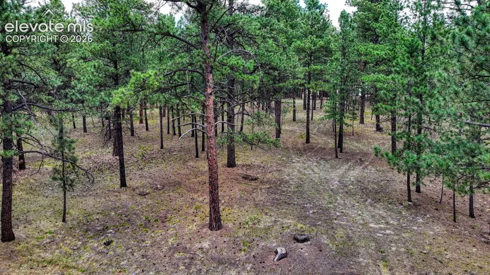 9950 Pine Park Trail Colorado Springs, CO 80908