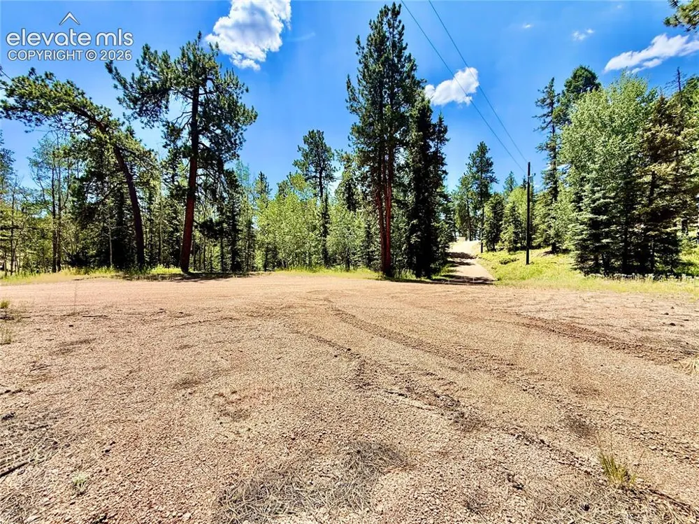 35 Meadow Creek Road Divide, CO 80814