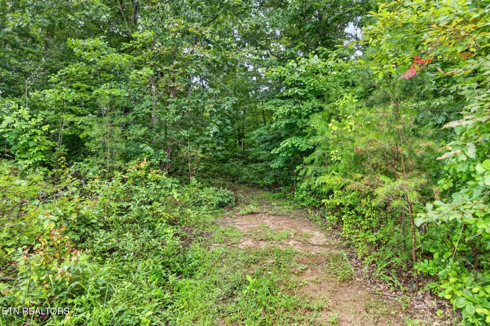 460 Jim Garrett Rd Monterey, TN 38574