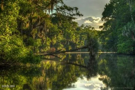 2013 Beaver Creek Drive Port Orange, FL 32128