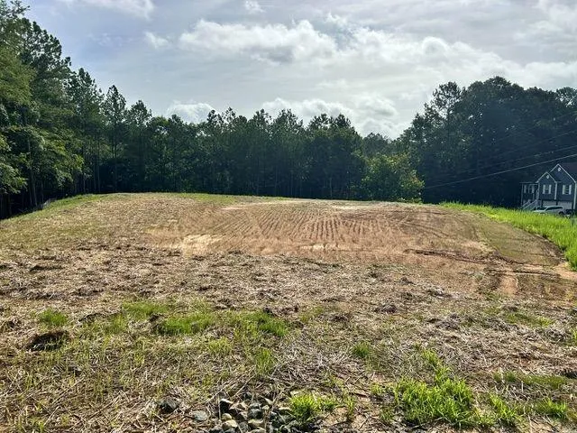 389 Timothy Drive Dallas, GA 30132
