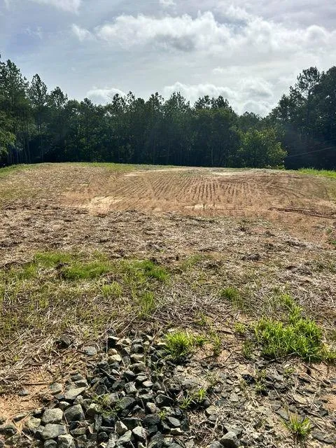 389 Timothy Drive Dallas, GA 30132